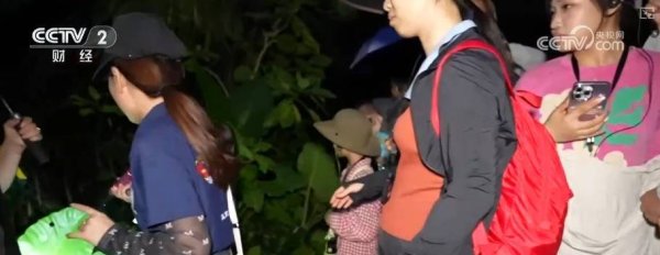诚利和 “科技感”“体验感”成文旅新关键词 花样“夜”态圈粉游客“住下来、细细品”