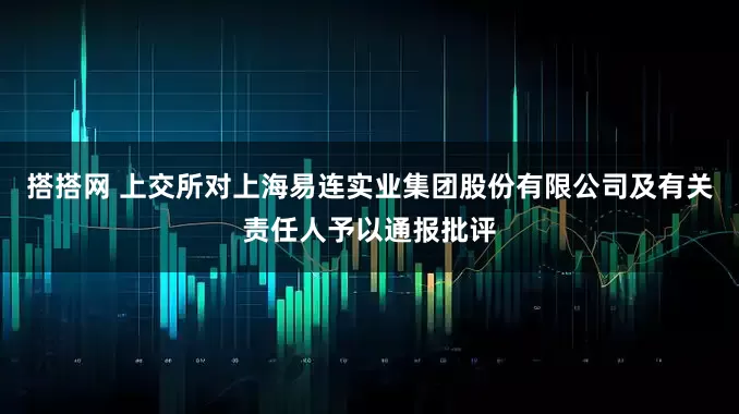 搭搭网 上交所对上海易连实业集团股份有限公司及有关责任人予以通报批评
