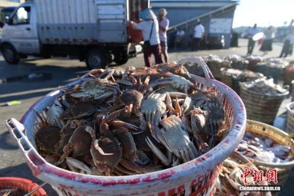 乐牛配资 福建东山澳角村做足“海”文章 “五海”产业协同发展