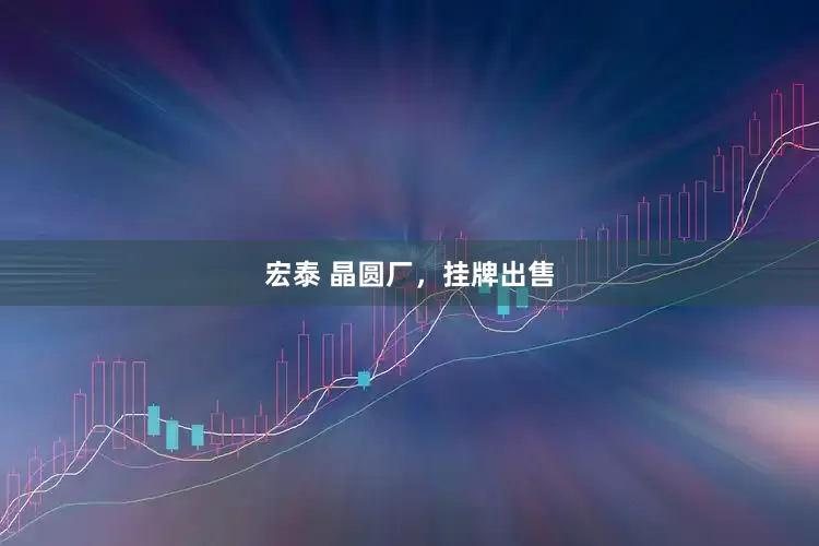 宏泰 晶圆厂，挂牌出售